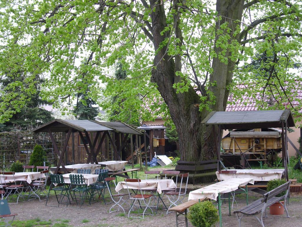 Landgasthof Kreinitz Hotel Strehla Exterior photo